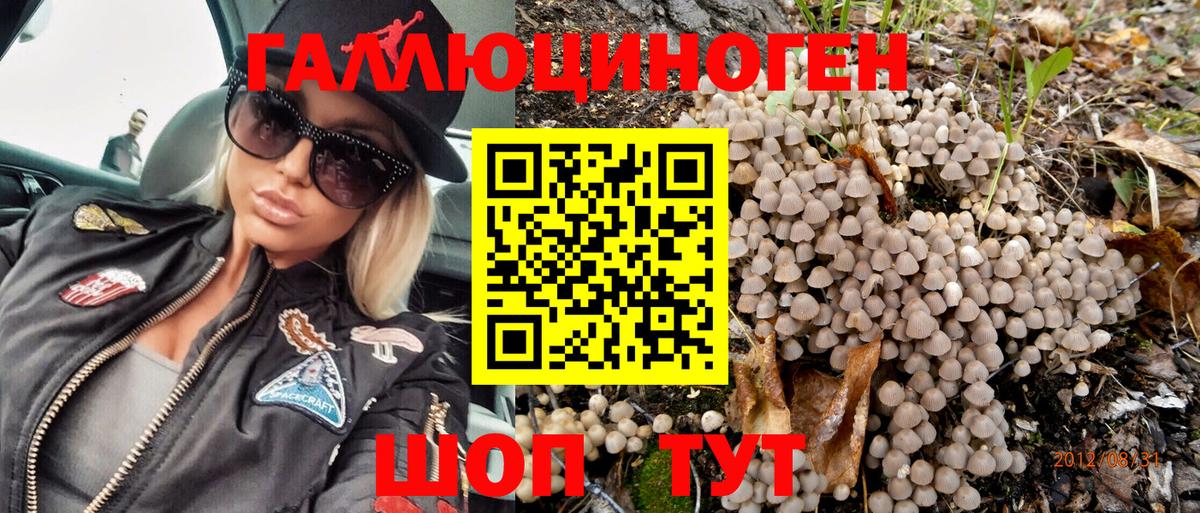 Керчь  Галлюциногенные грибы Psilocybe  Вход с VPN 